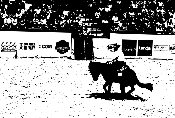 Person riding a horse in an arena with spectators and advertisements in the background