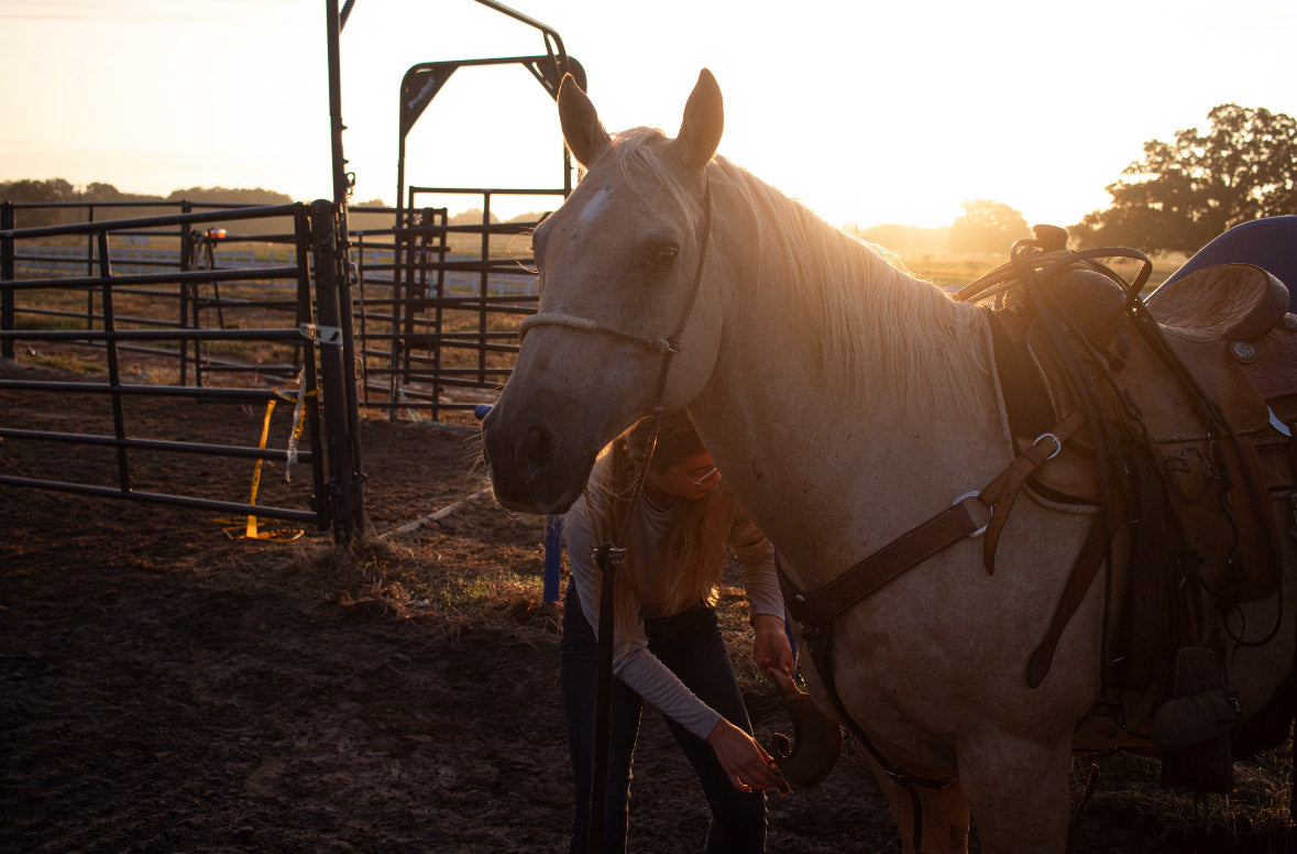 No Shortcuts: Addie Weil on Young Horses, Rodeo, and Playing the Long ...