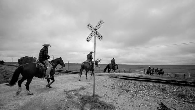 The History and Evolution of Horsemanship