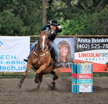 How to Keep the Older Performance Horse Going Strong