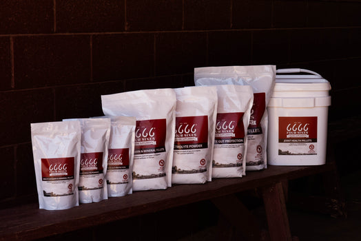 Four Sixes Equine Supplements Celebrates Second Year As Sponsor of The Run for a Million