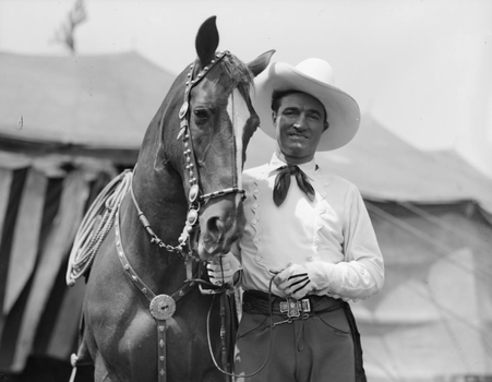 Hollywood’s Most Iconic Horses: The Stars Behind the Scenes