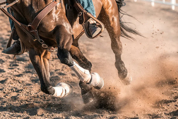 Horse running with a rider on a dirt track, kicking up dust.
