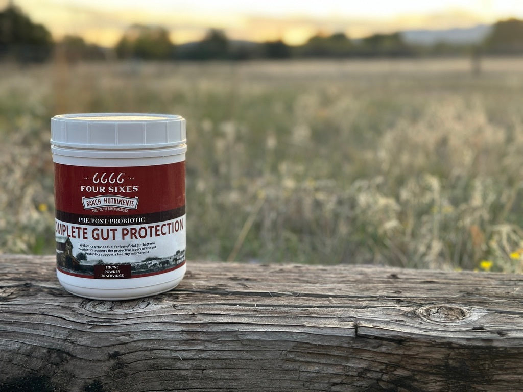 Load video: Four Sixes Equine Supplements: Complete Gut Protection