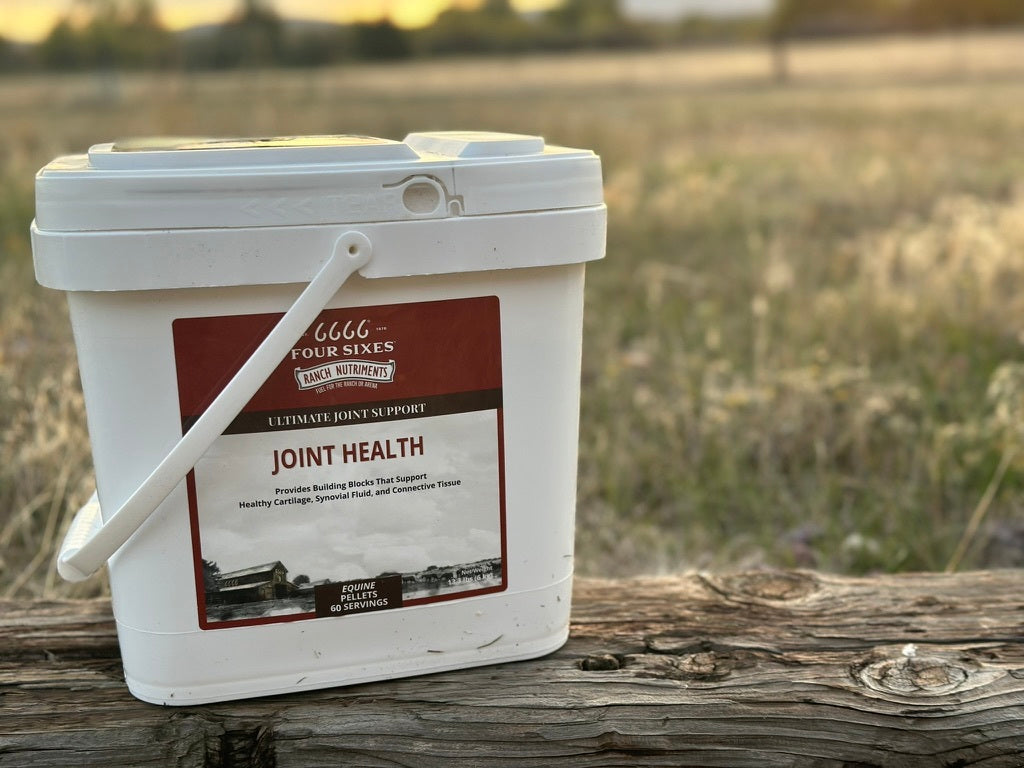 Load video: Four Sixes Equine Supplements: Joint Health Pellets