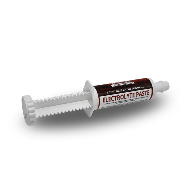 Equine Electrolyte Paste