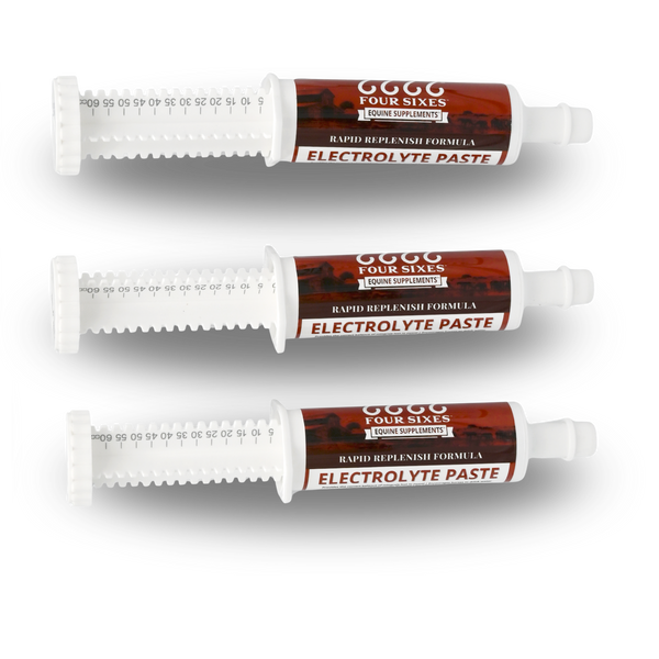 Equine Electrolyte Paste