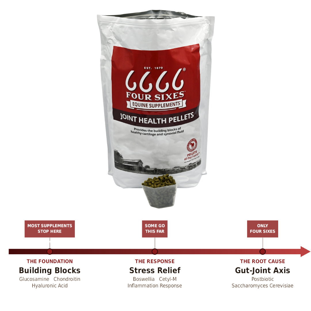 Bag of Four Sixes Equine Supplements with a diagram on a white background