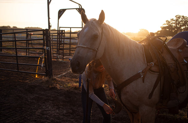Person interacting with a horse in an outdoor setting during sunset.