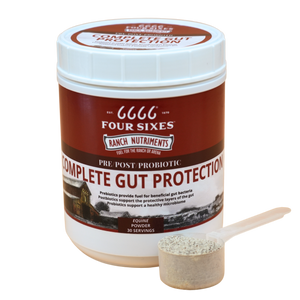 Equine Complete Gut Protection