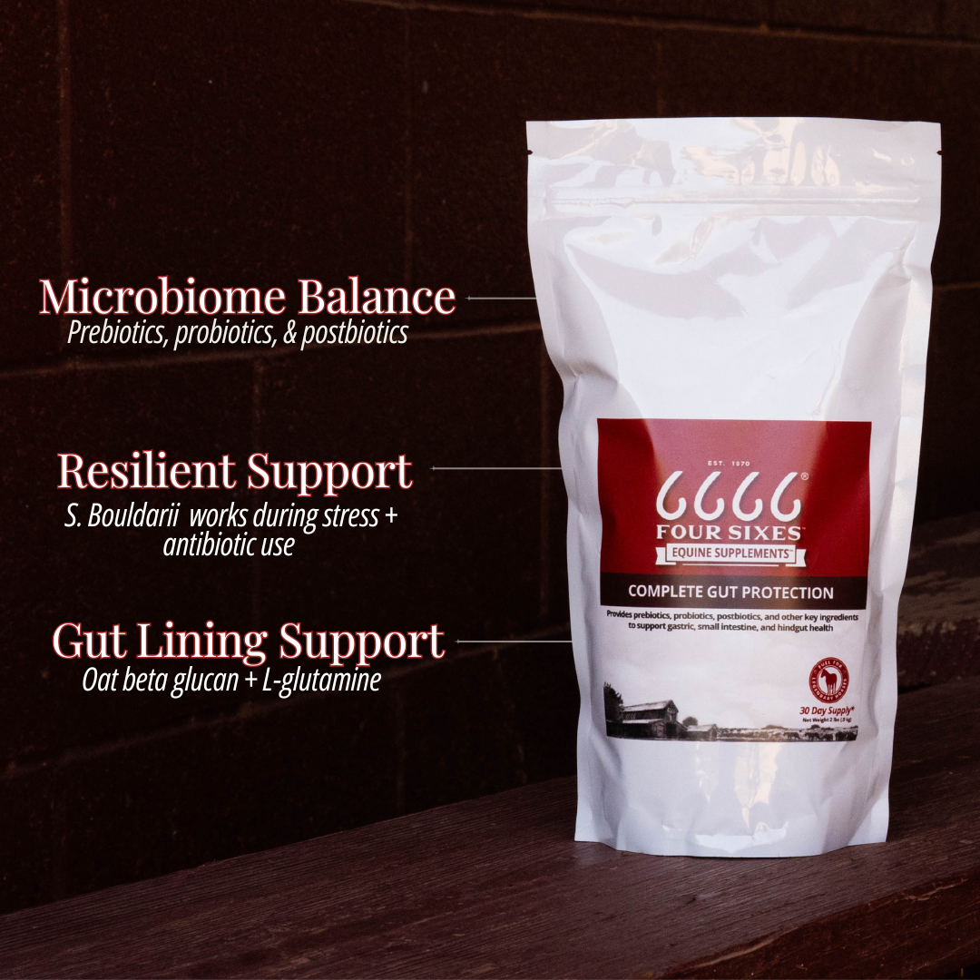 Equine Complete Gut Protection – 6666 Equine Supplements Equine Complete Gut Protection – 6666 Equine Supplements