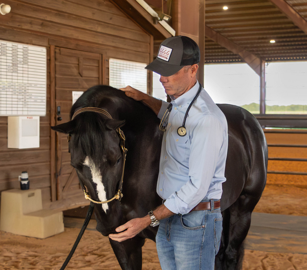 Colic Is Rarely Random: The 7 Proven Risk Factors and What to Do About Them