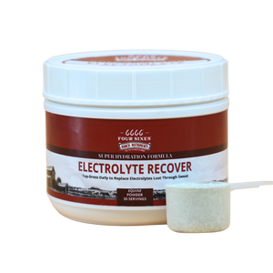 Equine Electrolyte Recover Powder