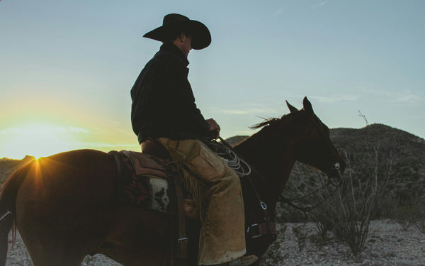 Cowboy riding a horse against a sunset sky
