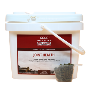Equine Joint Health Pellets