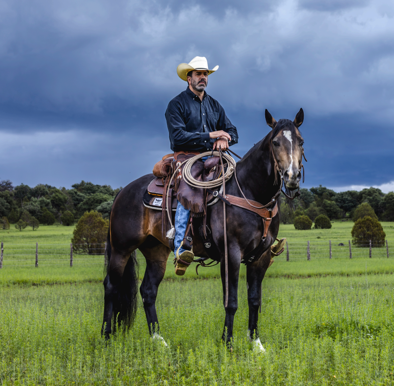Las Tunas Performance Horses