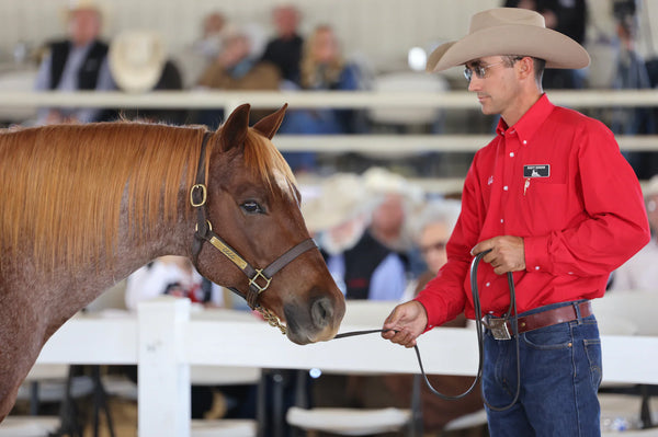 Man in a red shirt and cowboy hat standing next to a brown horse at a livestock show.