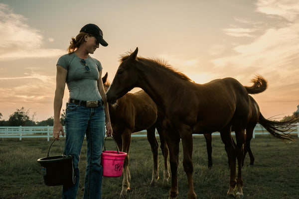 Building It to Last: Britta Strain’s Program, Golden Cloud, and the Mares Behind It