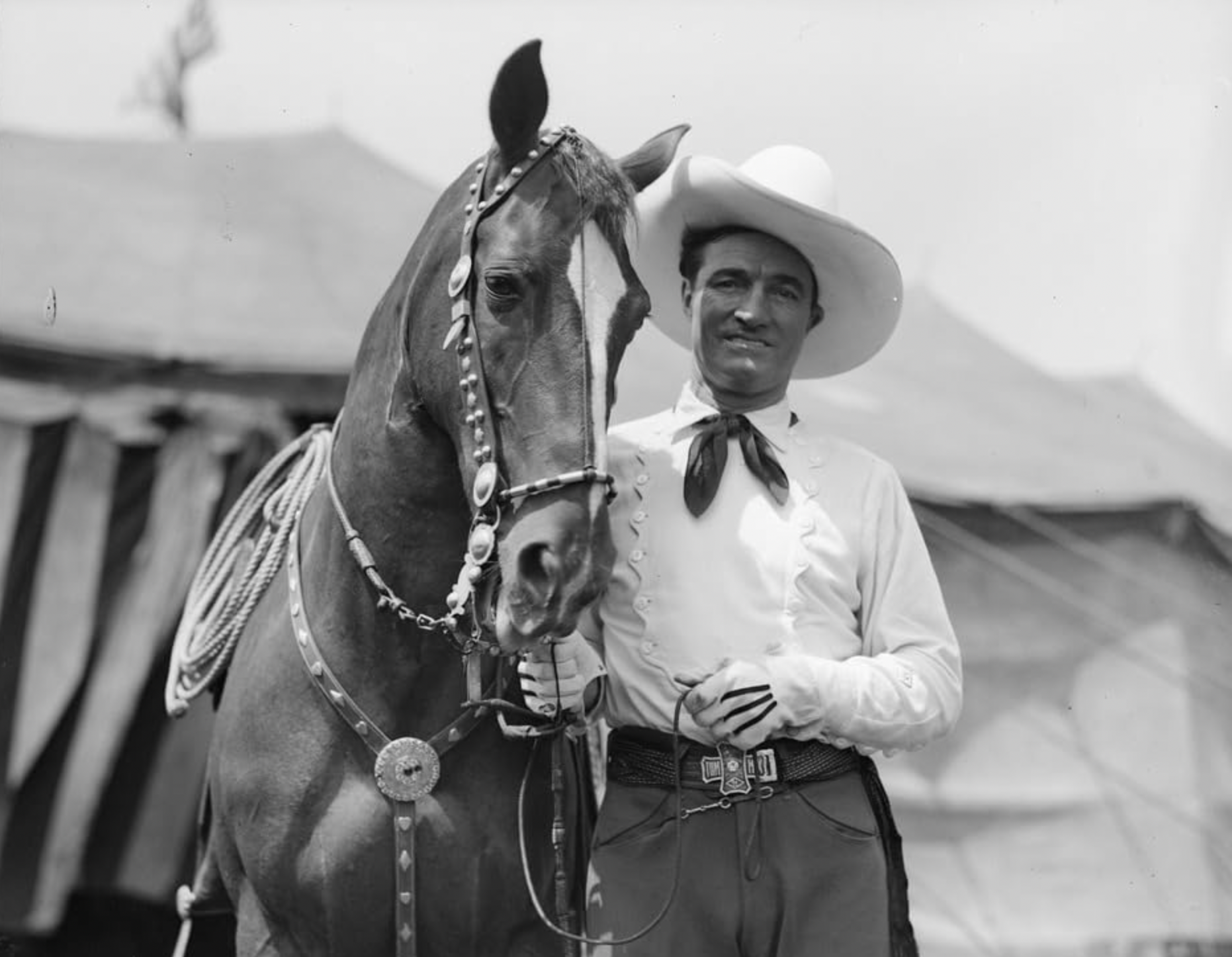 Vintage cowboy and horse