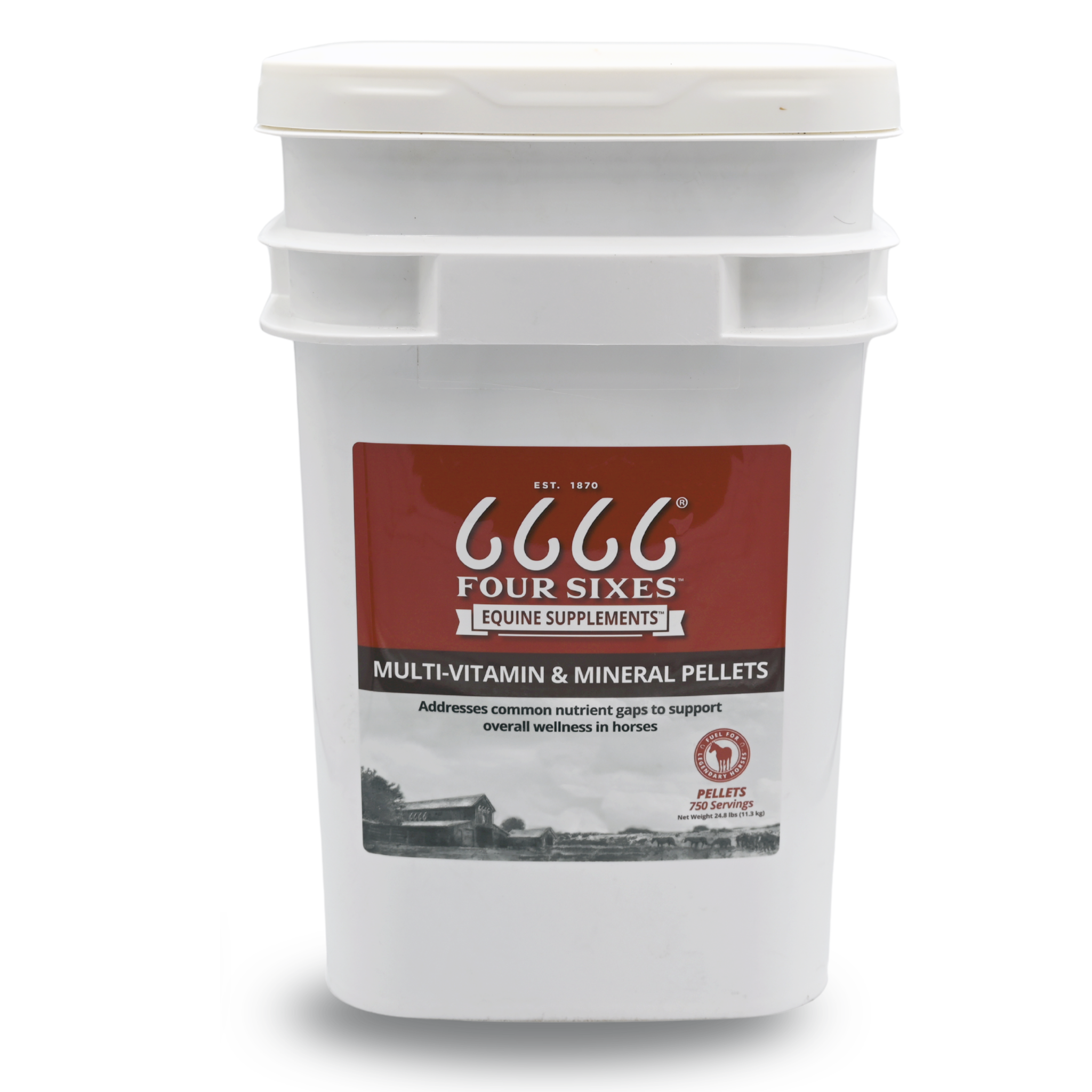 Equine Multi-Vitamin & Mineral Pellets