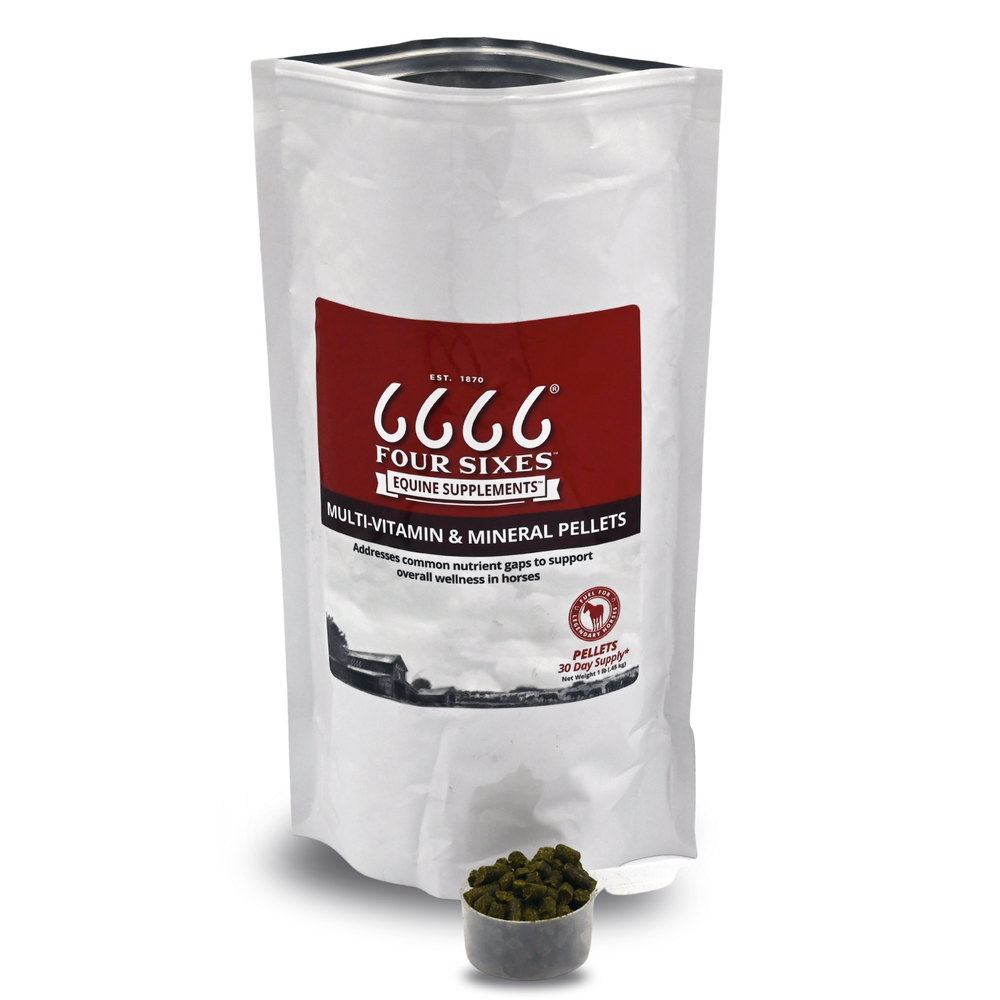 Horse Vitamin and Mineral Supplement | Four Sixes – 6666 Equine