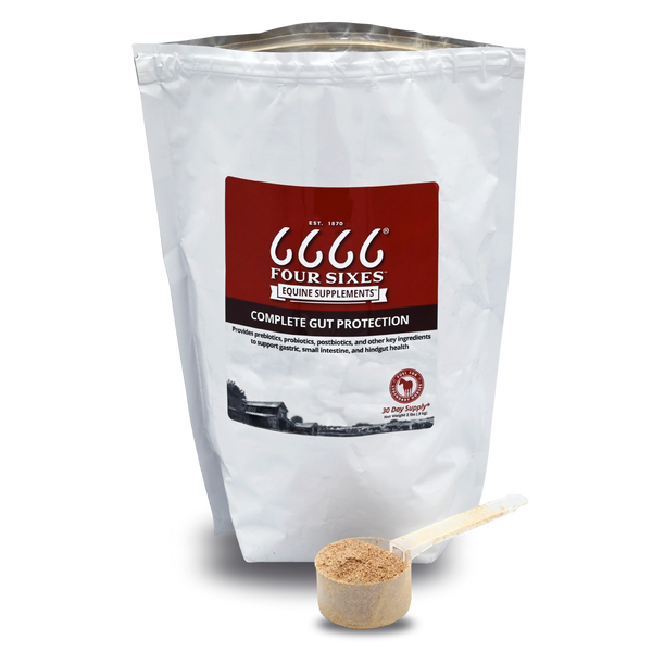 Equine Complete Gut Protection