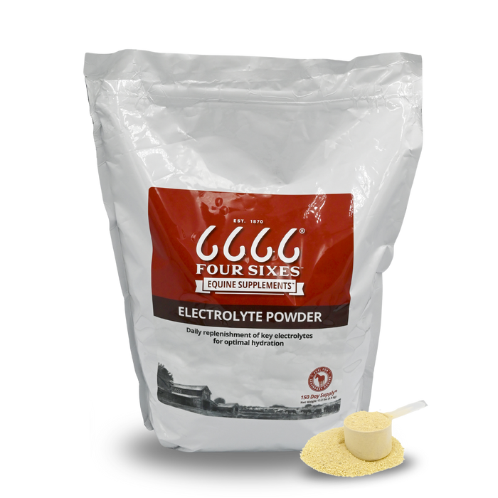 Electrolytes For Horses, Electrolyte Supplements, Horse Electrolytes