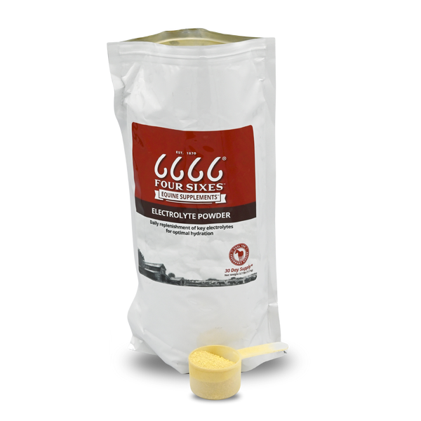 Equine Electrolyte Recover Powder