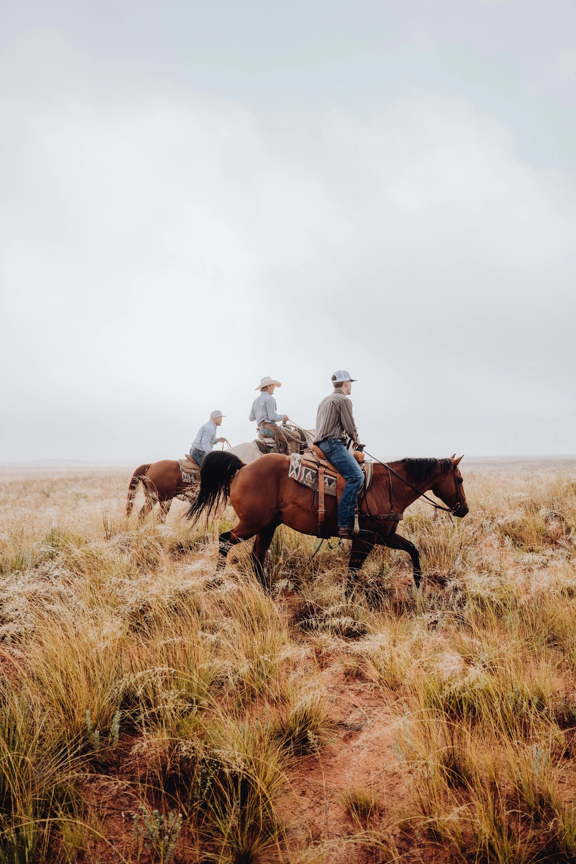 Three people riding horses in a grassy field on a cloudy day