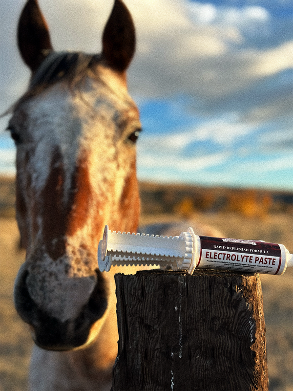 Horse with a tube of electrolyte paste with a blurred natural background