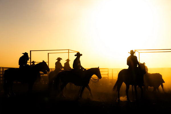 Silhouettes of cowboys on horseback against a sunset sky.